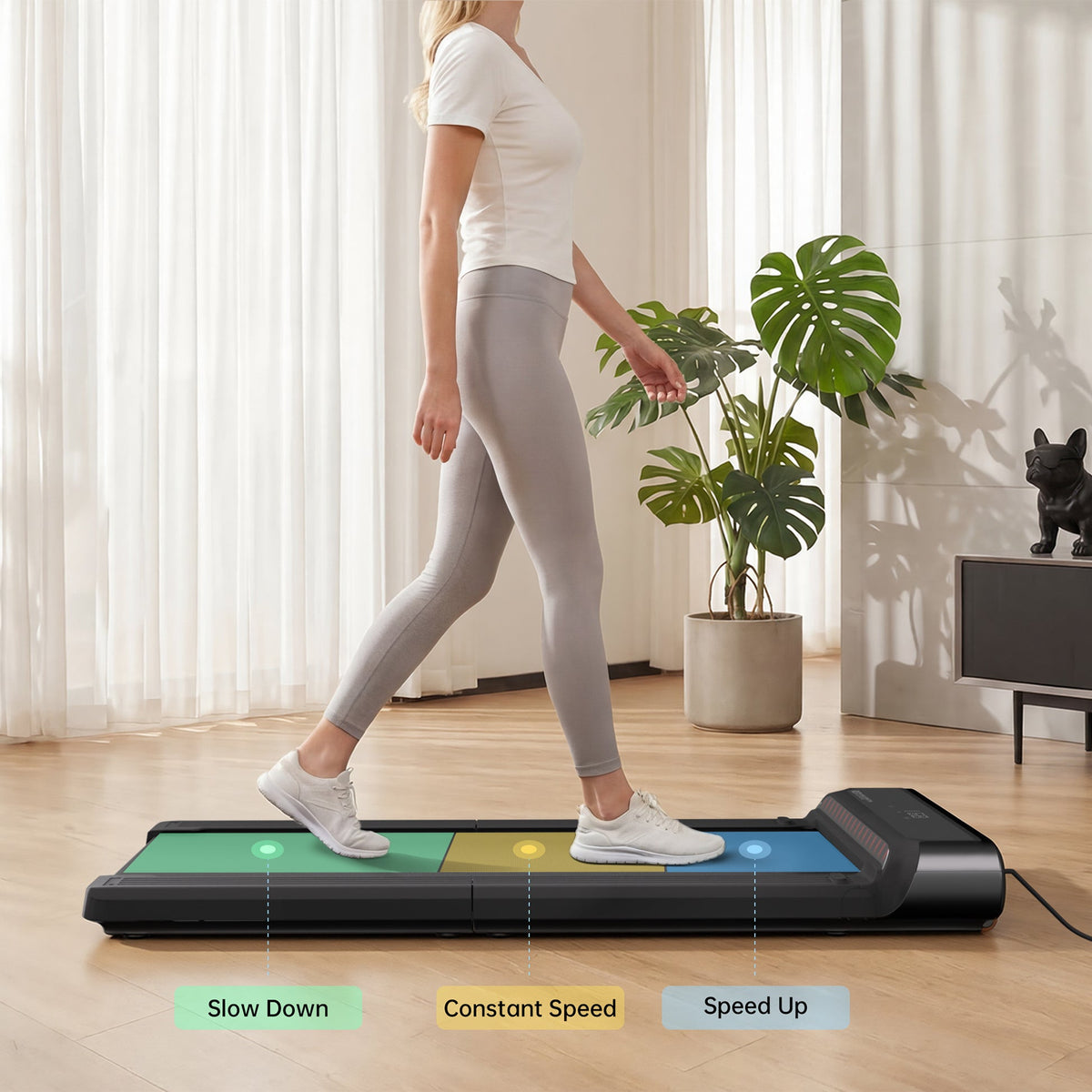 WalkingPad FR