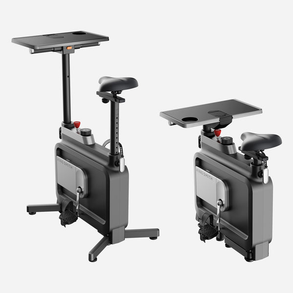 KingSmith W1B Vélo d'Appartement Pliable